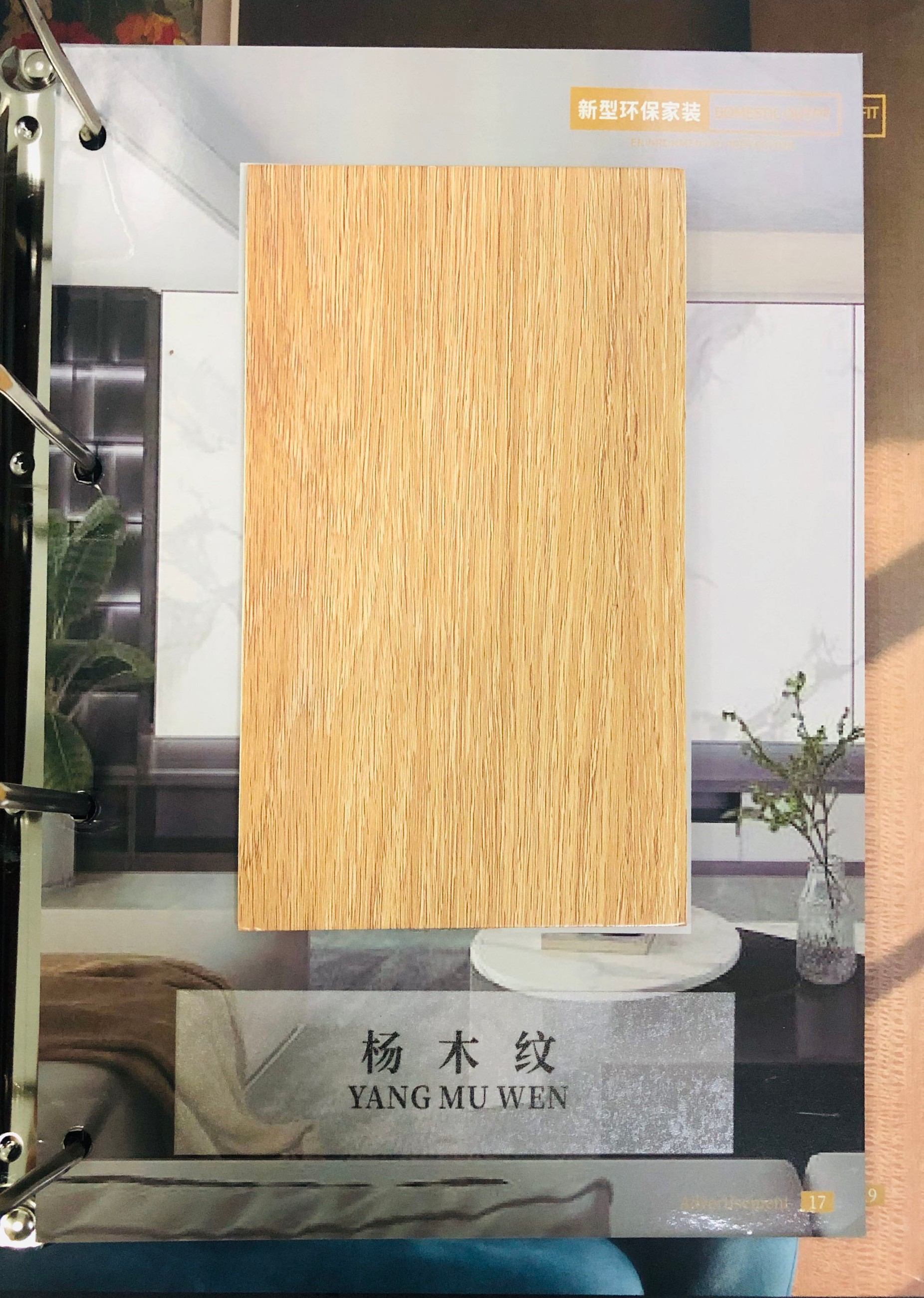 1742981129956381.jpg 06bd6ee6927cdd5abd8bf753476f2ee1.jpg