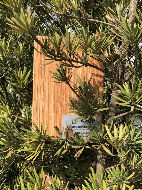 1743058170440513.jpeg d929c566686d833a17f60dd15f526869.jpeg