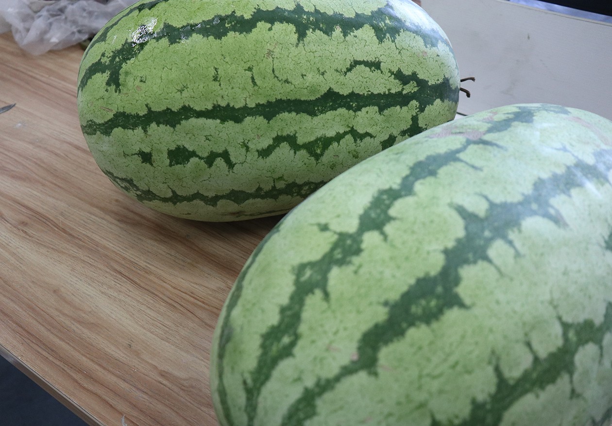 1743062432751687.jpeg 555e8db1f2eecfdf5fc27c75f45839a9.jpeg