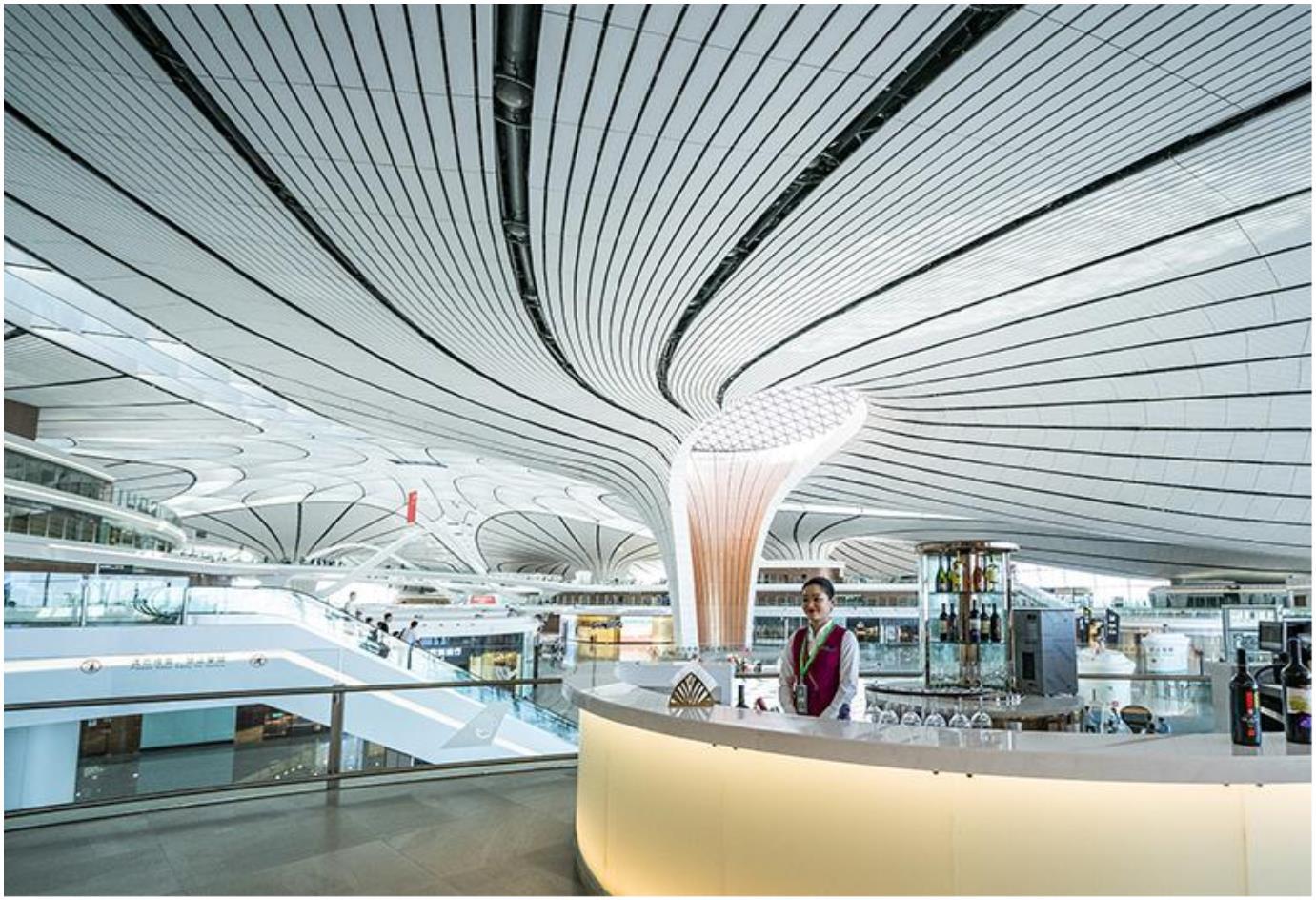 1743062580819449.jpeg af3e9277ba62bdffe5004cee41d5b5bd.jpeg