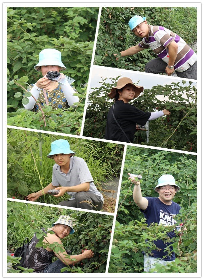 1743133116698220.jpg 8179b2fef177f0acabf8a70a9238d47d.jpg