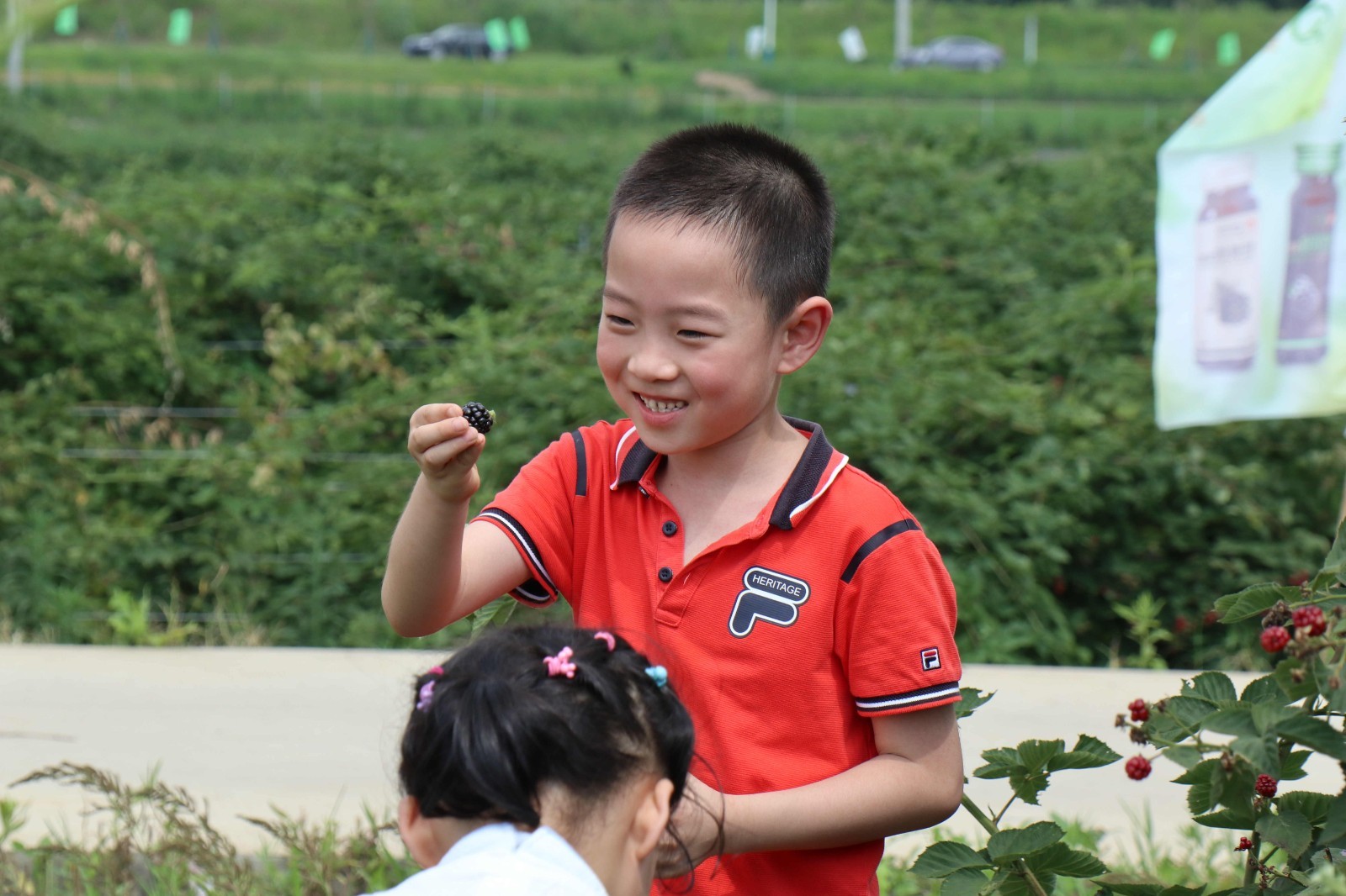 1743133127378546.jpg aa8f1bb183c8e3deeedb8fd422d9970b.jpg