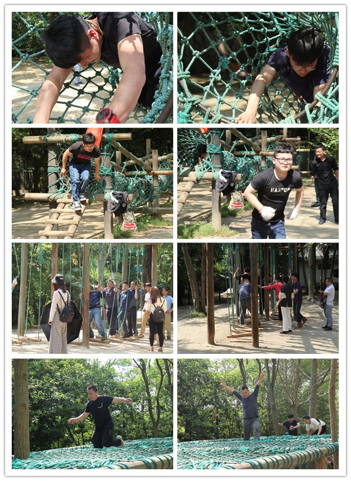 1743140023875450.jpg 3087ac3fdbcff93da9c7a23ff6479319.jpg